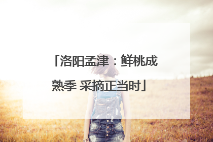 洛阳孟津：鲜桃成熟季 采摘正当时