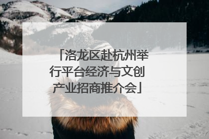 洛龙区赴杭州举行平台经济与文创产业招商推介会