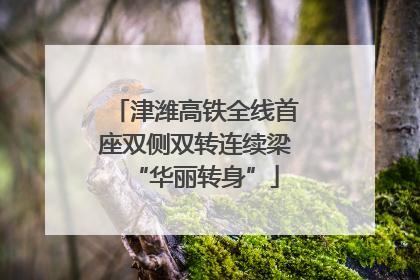 津潍高铁全线首座双侧双转连续梁“华丽转身”