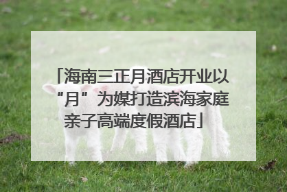 海南三正月酒店开业以“月”为媒打造滨海家庭亲子高端度假酒店