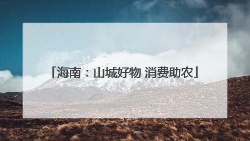 海南：山城好物 消费助农