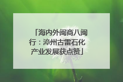 海内外闽商八闽行：漳州古雷石化产业发展获点赞