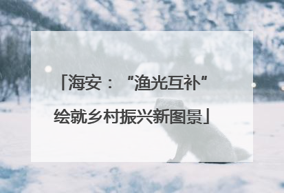 海安：“渔光互补” 绘就乡村振兴新图景