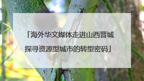 海外华文媒体走进山西晋城 探寻资源型城市的转型密码