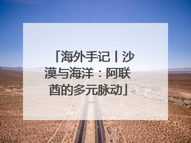 海外手记丨沙漠与海洋：阿联酋的多元脉动
