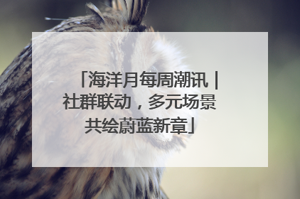 海洋月每周潮讯｜社群联动，多元场景共绘蔚蓝新章