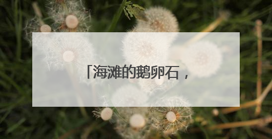 海滩的鹅卵石，不要捡！会有很严重的后果！