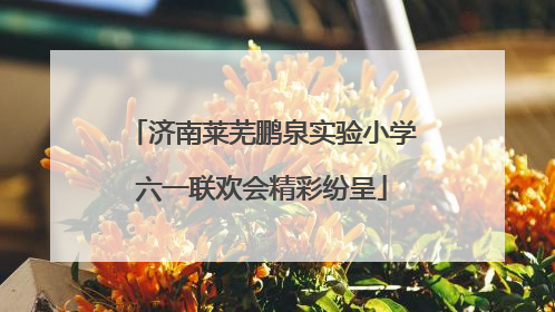 济南莱芜鹏泉实验小学六一联欢会精彩纷呈