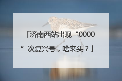 济南西站出现“0000”次复兴号，啥来头？