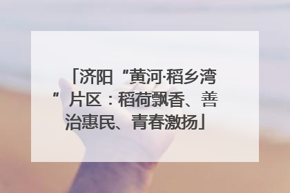 济阳“黄河·稻乡湾”片区：稻荷飘香、善治惠民、青春激扬