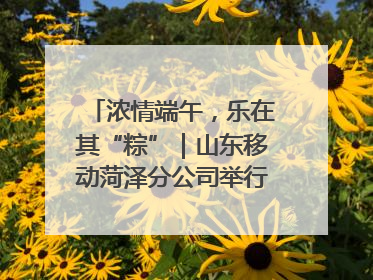浓情端午，乐在其“粽”｜山东移动菏泽分公司举行端午节主题活动