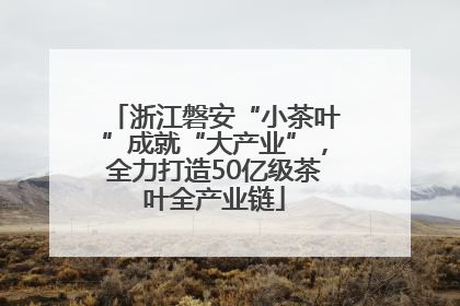 浙江磐安“小茶叶”成就“大产业”，全力打造50亿级茶叶全产业链