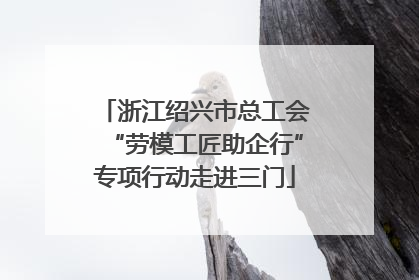 浙江绍兴市总工会“劳模工匠助企行”专项行动走进三门