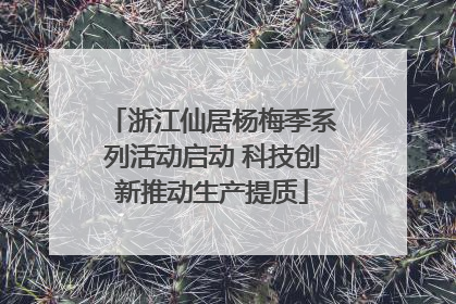 浙江仙居杨梅季系列活动启动 科技创新推动生产提质