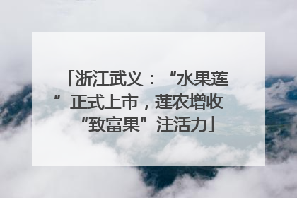 浙江武义：“水果莲”正式上市，莲农增收“致富果”注活力