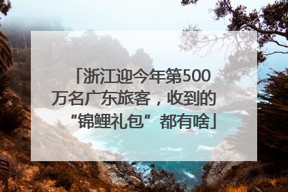 浙江迎今年第500万名广东旅客，收到的“锦鲤礼包”都有啥