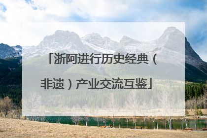 浙阿进行历史经典（非遗）产业交流互鉴