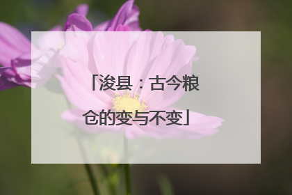 浚县：古今粮仓的变与不变