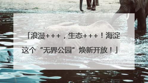 浪漫+++，生态+++！海淀这个“无界公园”焕新开放！