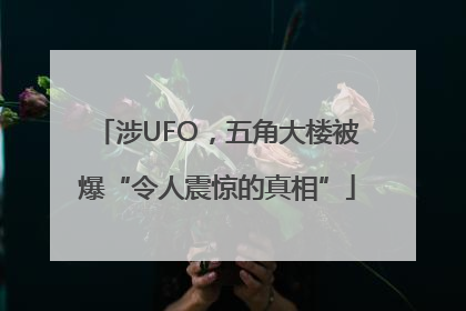 涉UFO，五角大楼被爆“令人震惊的真相”