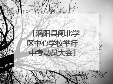 涡阳县闸北学区中心学校举行中考动员大会