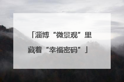 淄博“微景观”里藏着“幸福密码”