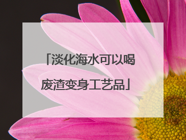淡化海水可以喝 废渣变身工艺品