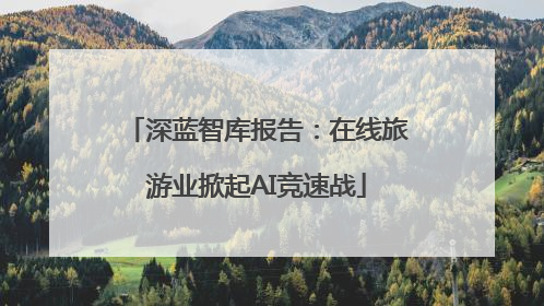 深蓝智库报告：在线旅游业掀起AI竞速战