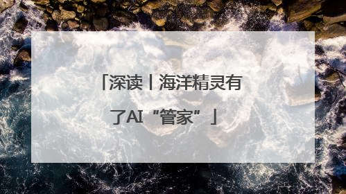 深读丨海洋精灵有了AI“管家”