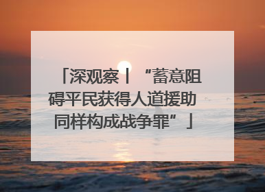 深观察丨“蓄意阻碍平民获得人道援助同样构成战争罪”
