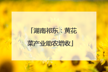 湖南祁东：黄花菜产业助农增收