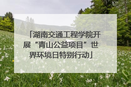 湖南交通工程学院开展“青山公益项目”世界环境日特别行动