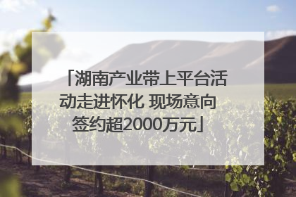 湖南产业带上平台活动走进怀化 现场意向签约超2000万元