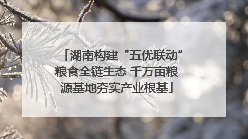 湖南构建“五优联动”粮食全链生态 千万亩粮源基地夯实产业根基