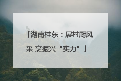 湖南桂东：展村厨风采 烹振兴“实力”