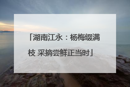 湖南江永：杨梅缀满枝 采摘尝鲜正当时