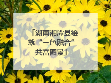 湖南湘潭县绘就“三色融合”共富图景