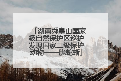湖南舜皇山国家级自然保护区巡护发现国家二级保护动物——脆蛇蜥