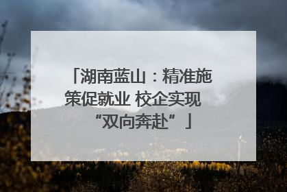 湖南蓝山：精准施策促就业 校企实现“双向奔赴”