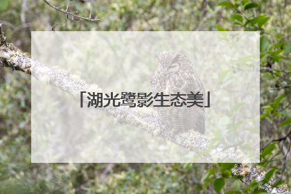 湖光鹭影生态美