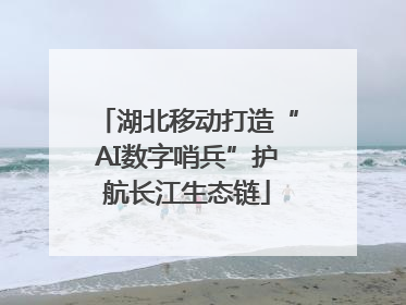 湖北移动打造“AI数字哨兵”护航长江生态链