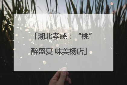 湖北孝感：“桃”醉盛夏 味美杨店