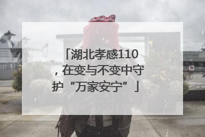 湖北孝感110，在变与不变中守护“万家安宁”