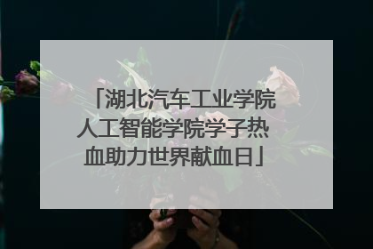 湖北汽车工业学院人工智能学院学子热血助力世界献血日