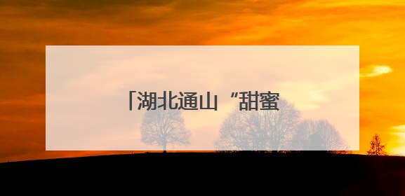 湖北通山“甜蜜产业”焕新机