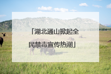 湖北通山掀起全民禁毒宣传热潮