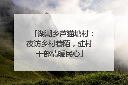 湖潮乡芦猫塘村：夜访乡村巷陌，驻村干部情暖民心