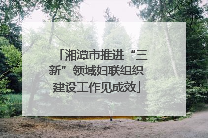 湘潭市推进“三新”领域妇联组织建设工作见成效