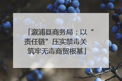溆浦县商务局：以“责任链”压实禁毒关 筑牢无毒商贸根基