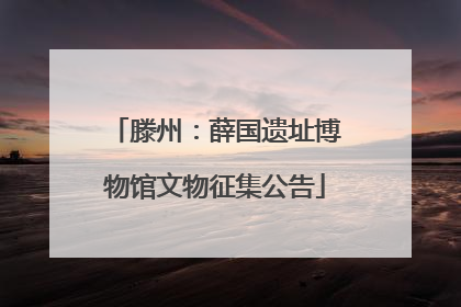滕州：薛国遗址博物馆文物征集公告
